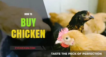 Smart Chicken Shopping: Tips for Choosing Quality Poultry Every Time