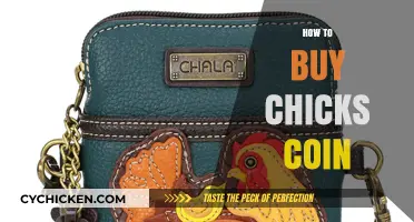 A Beginner's Guide to Buying Chicks Coin Safely and Easily