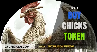 A Beginner's Guide to Buying Chicks Token Safely and Easily