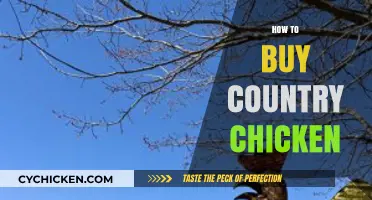 Your Guide to Buying Fresh, Healthy Country Chicken Locally