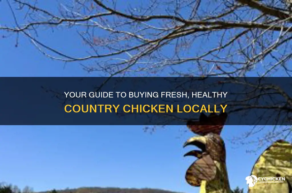 how to buy country chicken
