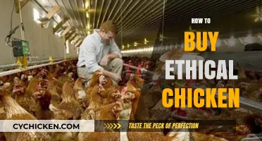 Choosing Compassion: A Guide to Buying Ethical Chicken Responsibly