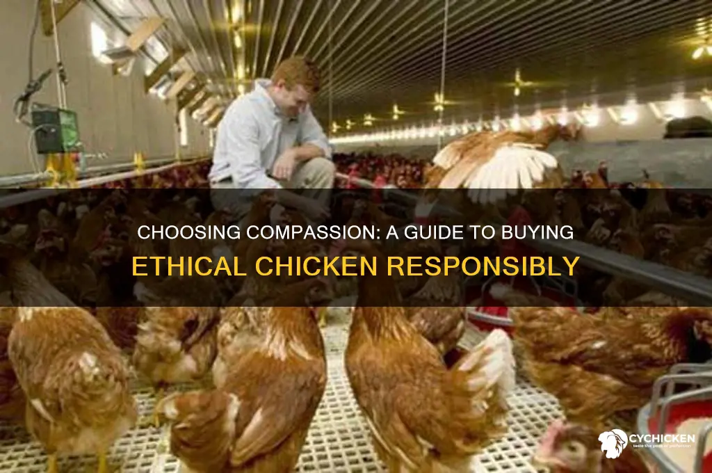 how to buy ethical chicken