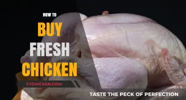 Choosing Fresh Chicken: Essential Tips for Quality and Safety