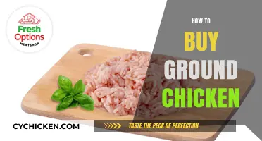 Smart Tips for Buying Fresh, High-Quality Ground Chicken Easily