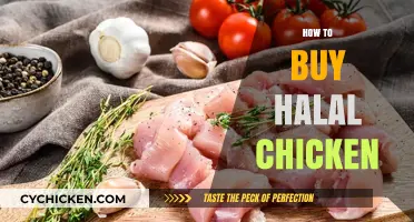 Your Guide to Buying Halal Chicken: Tips and Best Practices