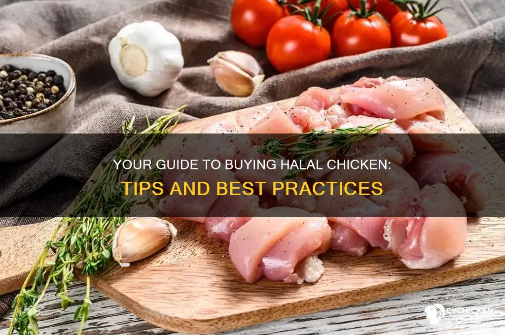 how to buy halal chicken