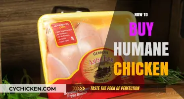 Choosing Compassion: A Guide to Buying Humane Chicken Products