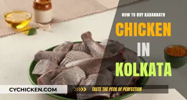Where to Buy Authentic Kadaknath Chicken in Kolkata: A Guide