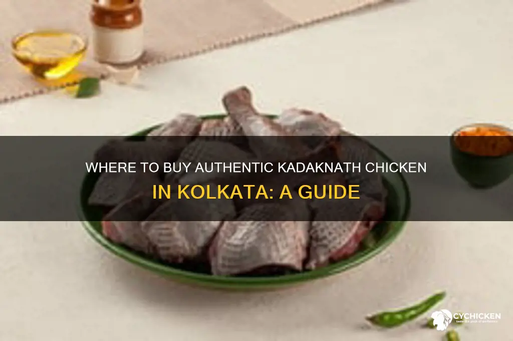 how to buy kadaknath chicken in kolkata