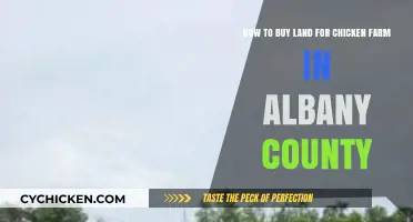 Buying Land for Your Chicken Farm in Albany County: A Guide