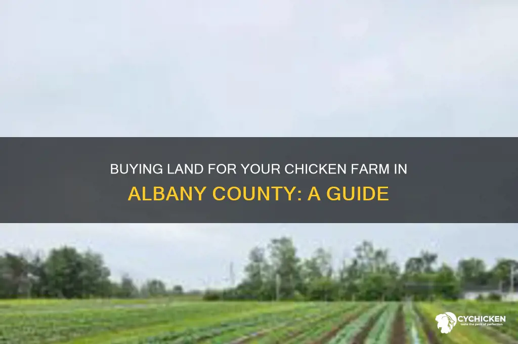 how to buy land for chicken farm in albany county