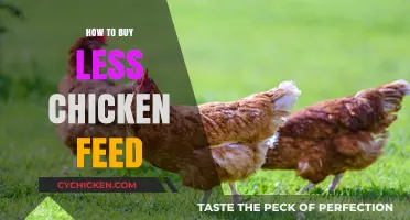 Reduce Chicken Feed Costs: Smart Strategies for Efficient Poultry Feeding