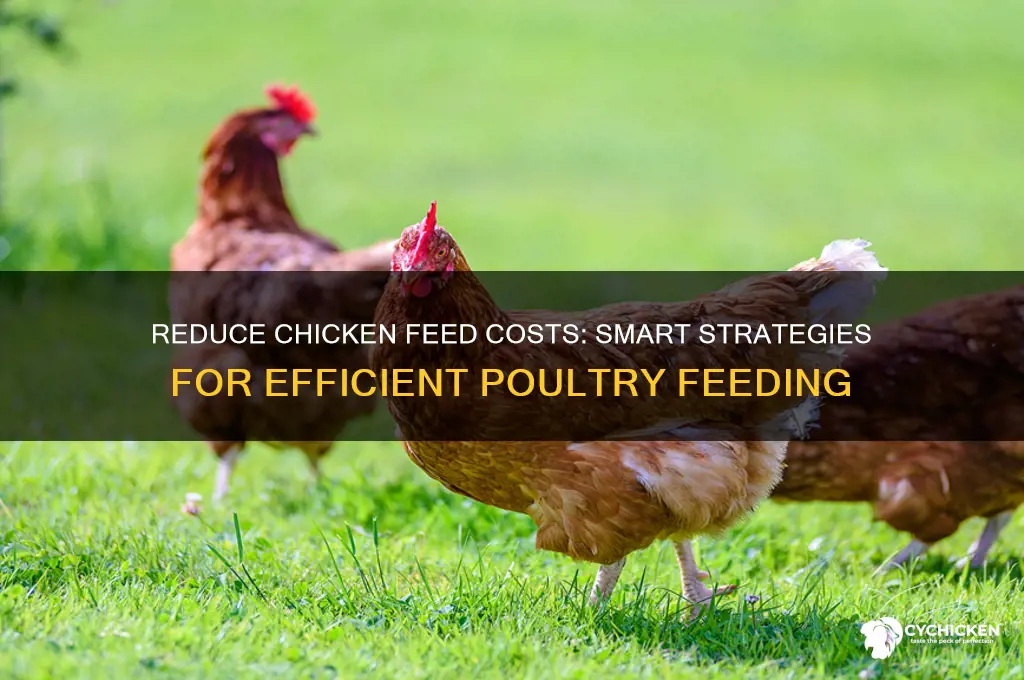 how to buy less chicken feed