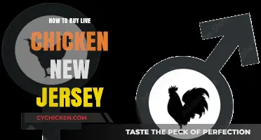 Buying Live Chickens in New Jersey: A Step-by-Step Guide