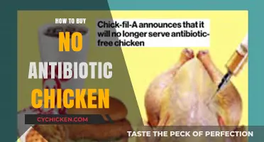 Choosing Healthy Poultry: A Guide to Buying No Antibiotic Chicken