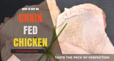 Choosing Healthy Poultry: A Guide to Buying No Grain Fed Chicken