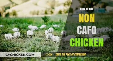 Choosing Ethically Raised Chicken: A Guide to Avoiding CAFO Poultry