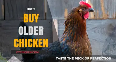 Smart Tips for Buying Older Chickens: Quality and Savings Guide