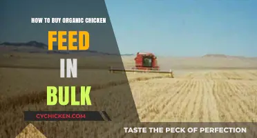 Bulk Buying Organic Chicken Feed: A Cost-Effective Guide for Farmers