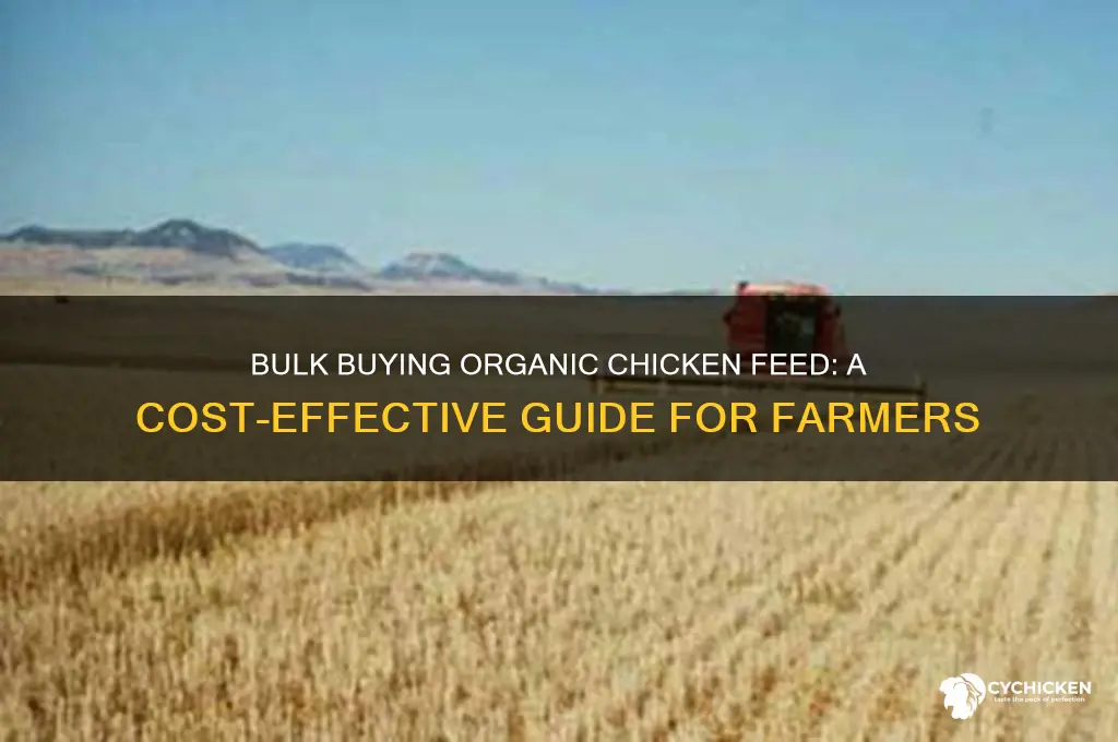 how to buy organic chicken feed in bulk