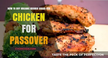 Sourcing Organic Kosher Grass-Fed Chicken for Your Passover Celebration