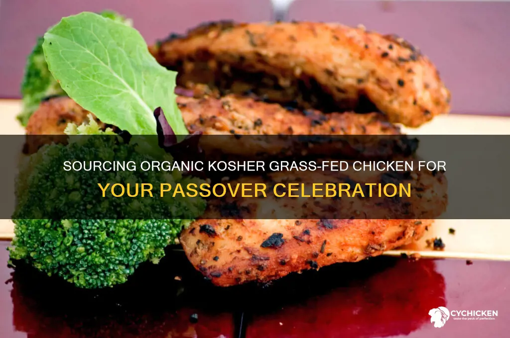 how to buy organic kosher grass-fed chicken for passover