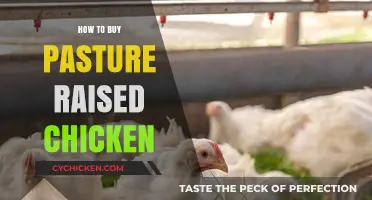 Choosing Pasture-Raised Chicken: A Buyer's Guide to Ethical, Healthy Poultry