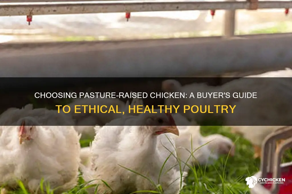 how to buy pasture raised chicken