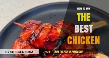 Choosing the Perfect Chicken: A Buyer's Guide to Quality Poultry