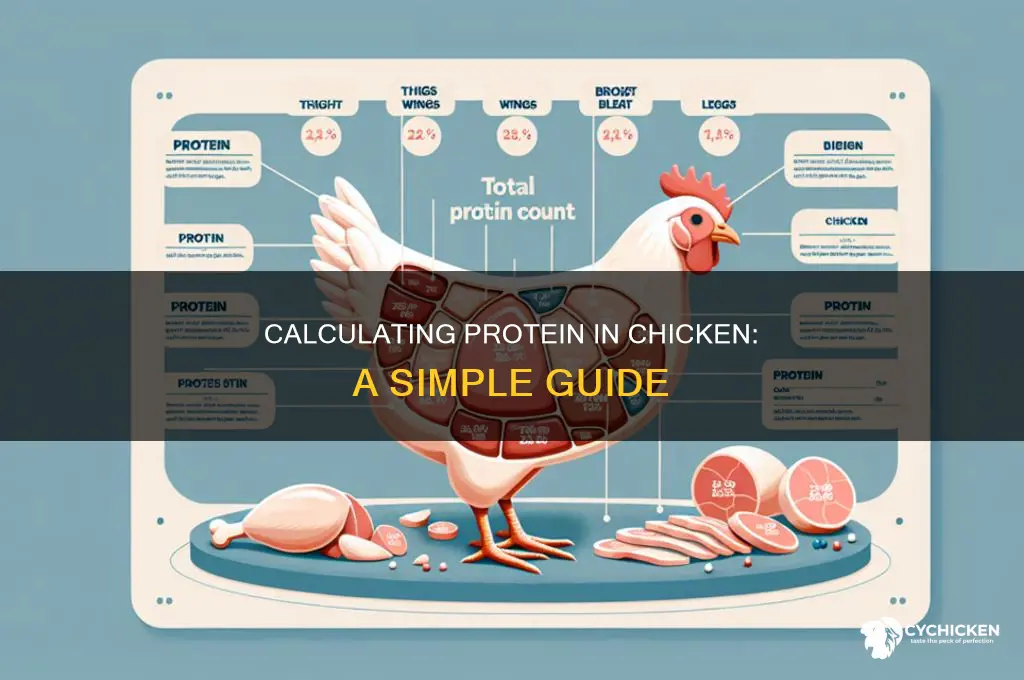 how to calculate grams of protein in chicken