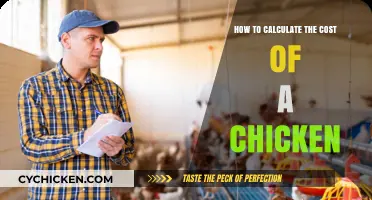 Calculating Chicken Costs: A Comprehensive Guide