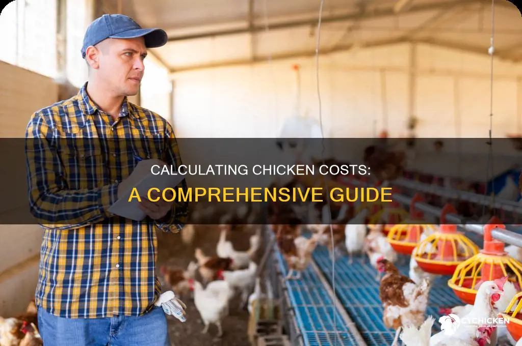 how to calculate the cost of a chicken