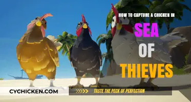 Catching Chickens in Sea of Thieves: A Guide