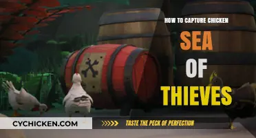 Mastering Chicken Capture: Essential Tips for Sea of Thieves Players