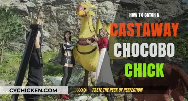 Catching a Castaway Chocobo Chick: Tips and Tricks for Success