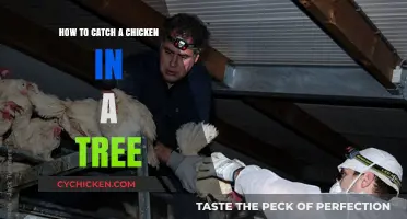 Catching Chickens in Trees: Strategies for Success