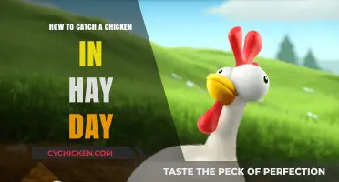 Catching Chickens in Hay Day: Easy Tips and Tricks