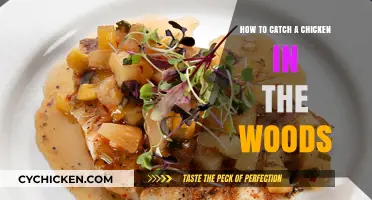 Catching Chickens in the Woods: A Step-by-Step Guide