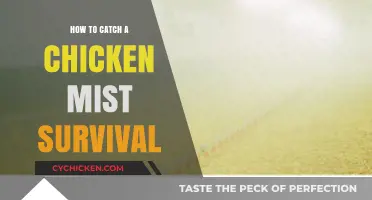 Surviving the Mist: Effective Techniques to Catch a Chicken