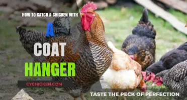 Catching Chickens: Coat Hanger Tricks