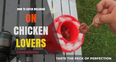 Catching Bullhead with Chicken Livers: Tips and Techniques for Anglers