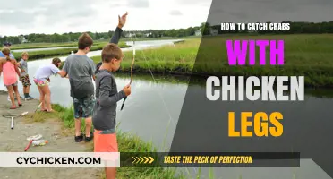 Catching Crabs with Chicken Legs: A Simple and Effective Guide