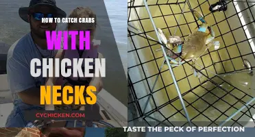Catching Crabs with Chicken Necks: A Simple and Effective Guide