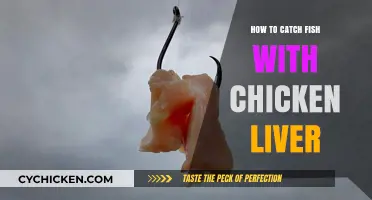 Mastering the Art of Catching Fish with Chicken Liver