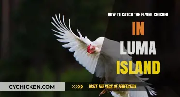 Catching the Elusive Fowl: Luma Island Chicken Chase