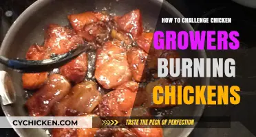 Stop the Cruelty: Challenging Chicken Growers' Burning Practices