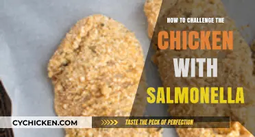 Safely Confronting Salmonella: Strategies to Challenge Chicken Contamination