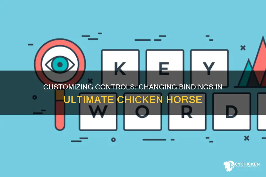 how to change bindings in ultimate chicken horse