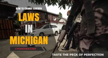 Changing Michigan's Chicken Laws: A Step-by-Step Advocacy Guide
